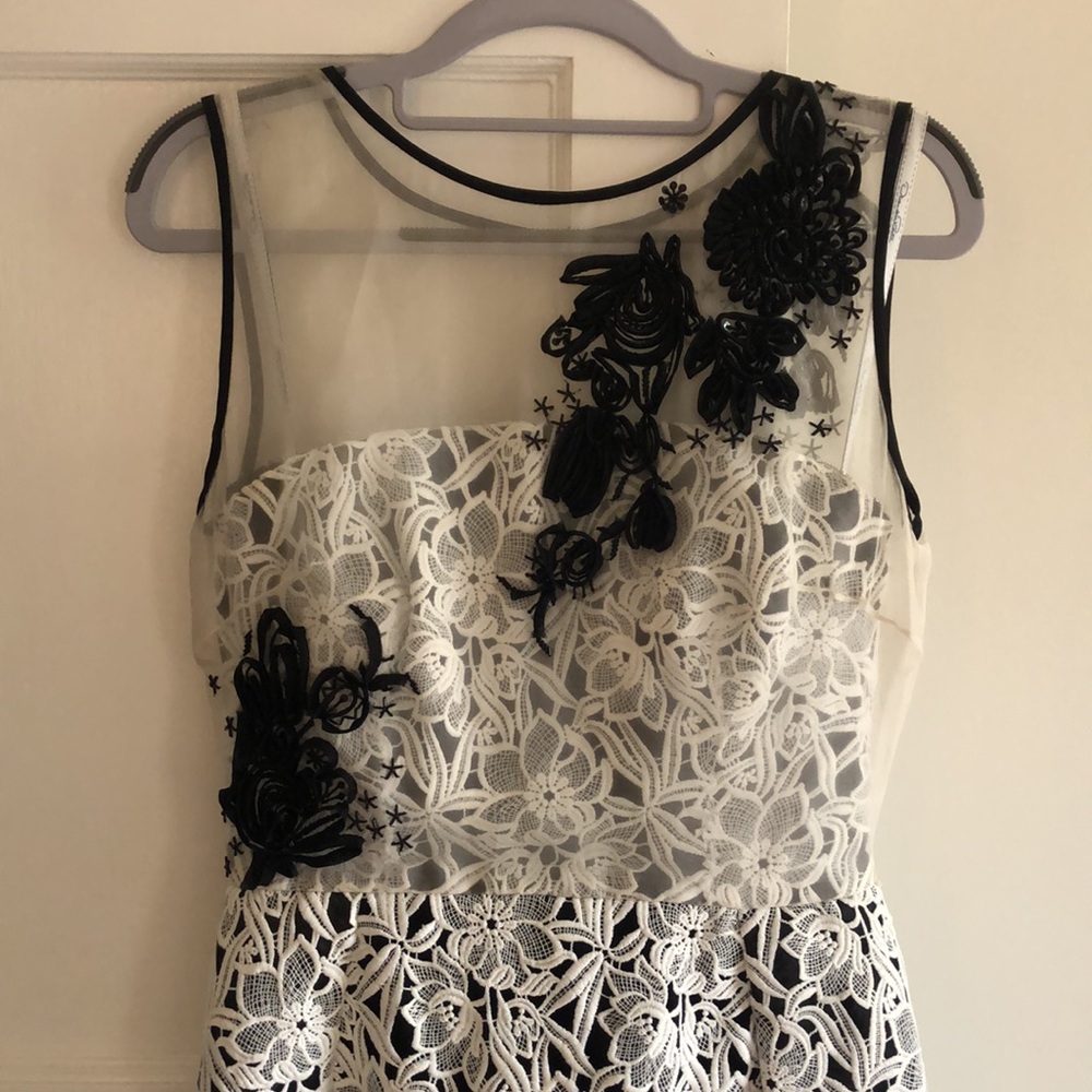 Oscar de la Renta 2016 Winter Collection Black and White Lace Sleeveless Dress